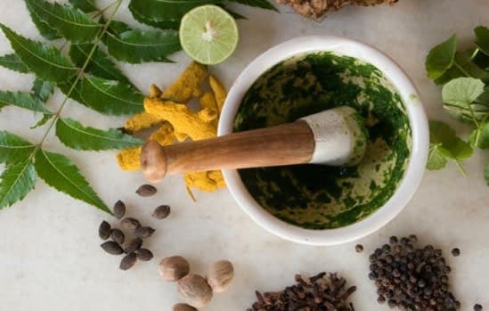 Ayurvedic & Trad. Chinese Medicine Course