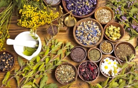 Herbal Medicine Course