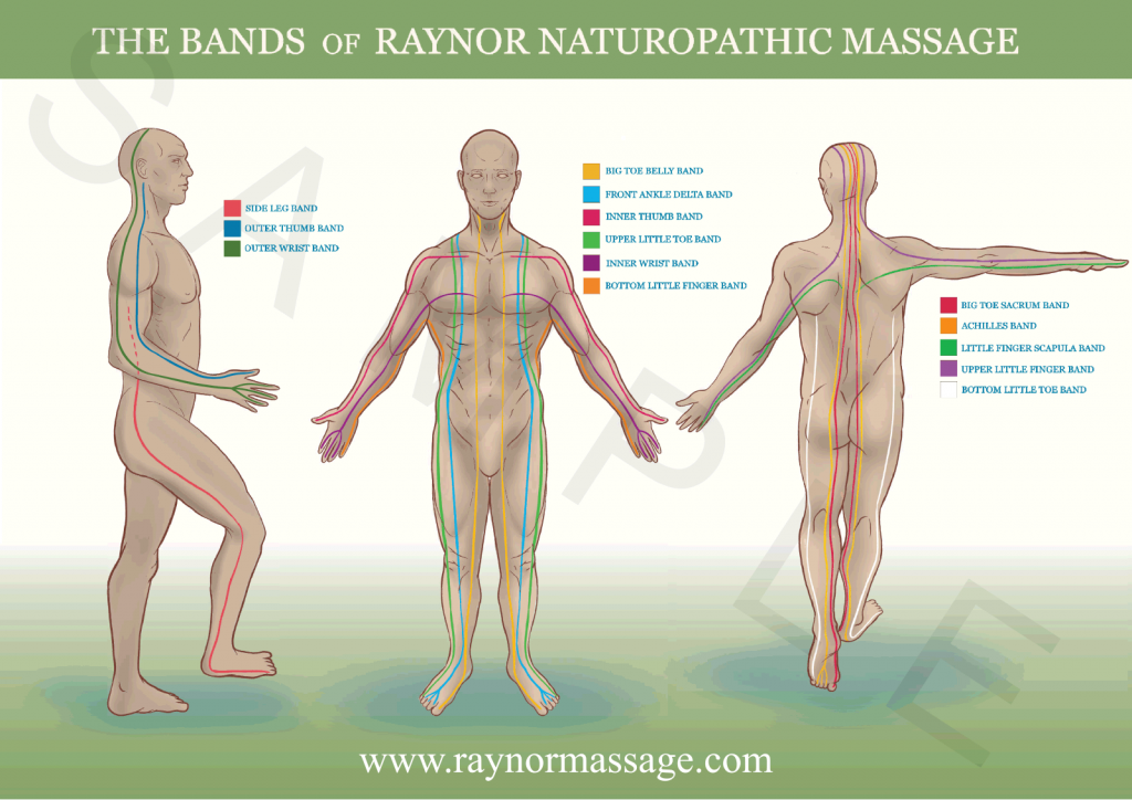 Bands of Raynor Massage Poster