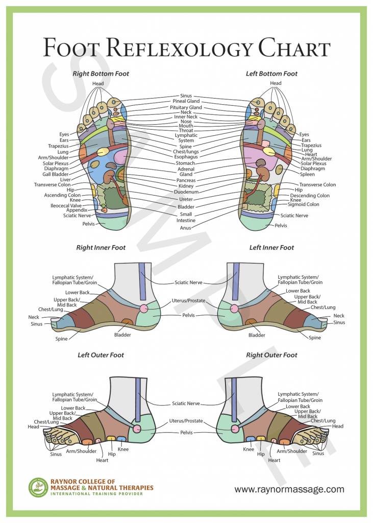 Foot Reflexology Chart