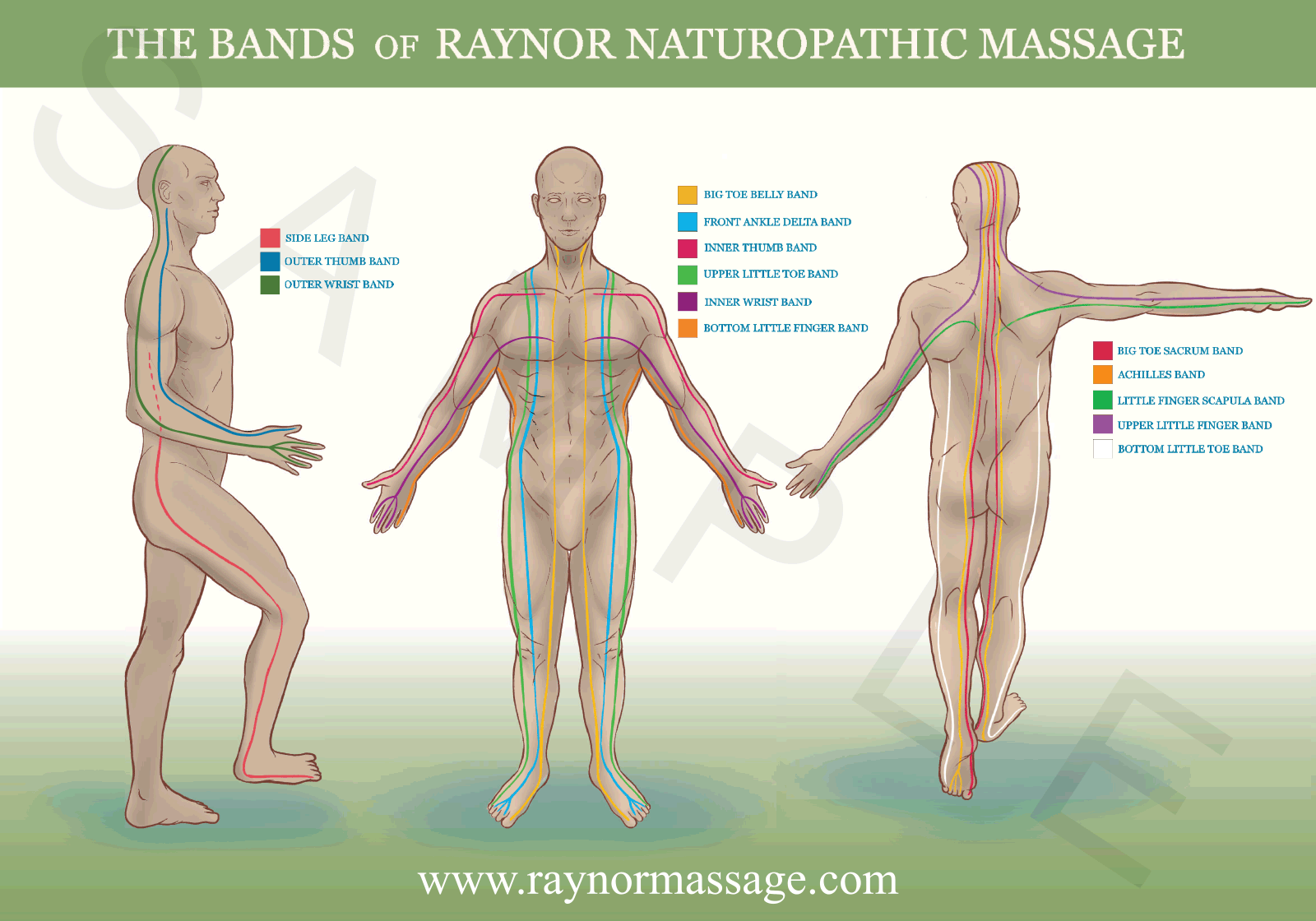 raynor-massage-bands-poster raynor-massage-bands-poster